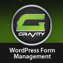 Gravity Forms Plugin for WordPress